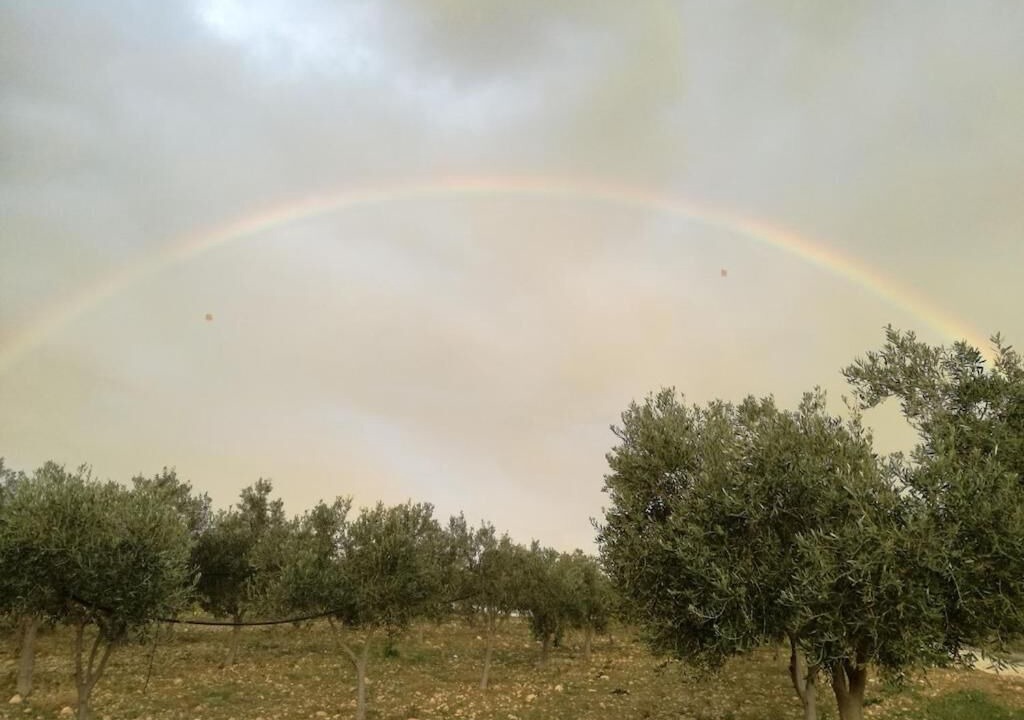 Photo of Bathroom in Menfi