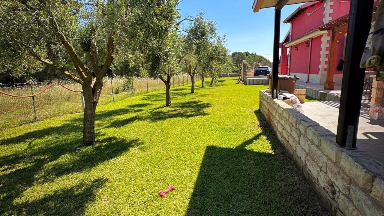 Photo of Outdoor in Noto