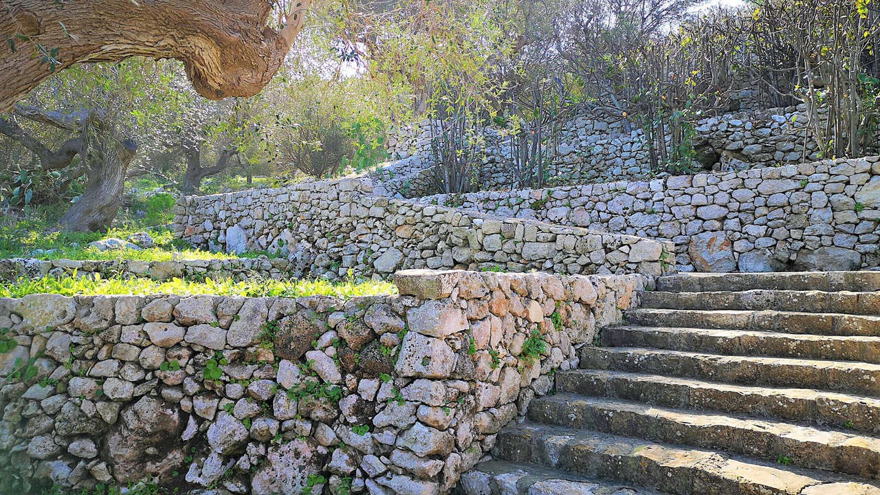 Photo of Outdoor in Corsano