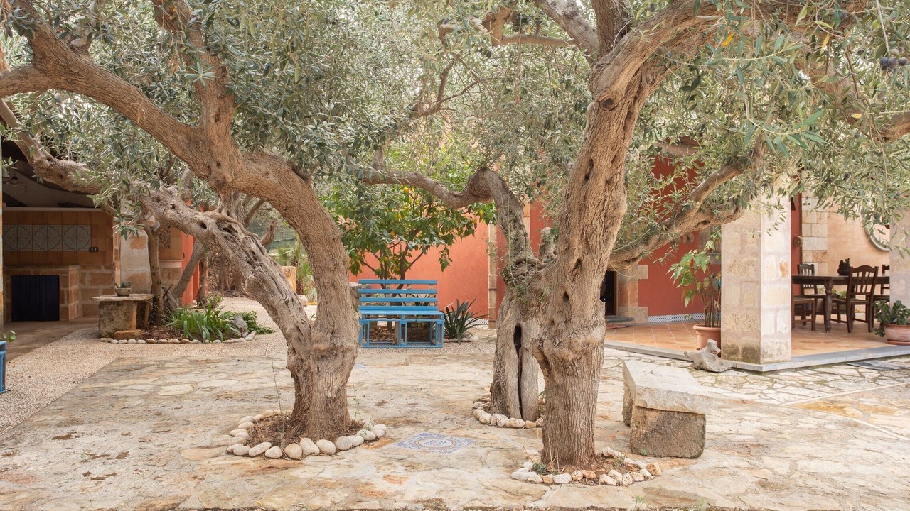 Photo of Patio Balcony in Castelluzzo
