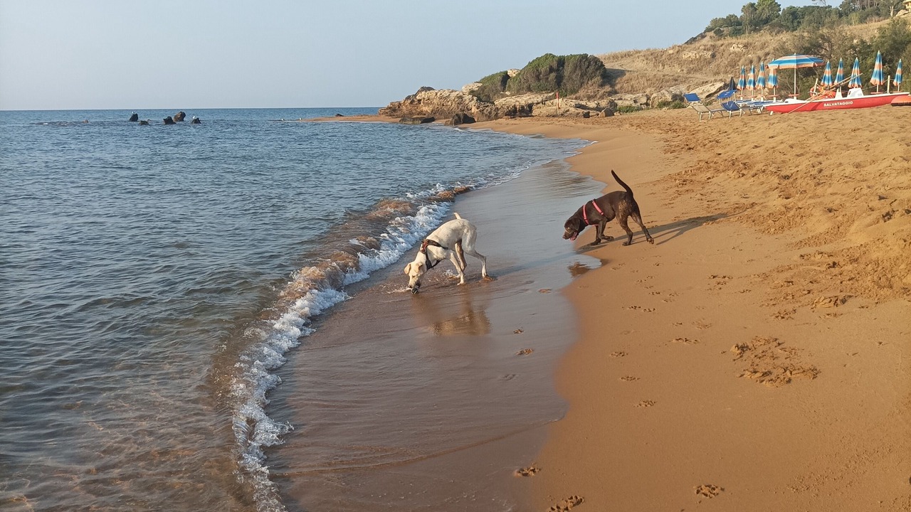 Photo of Others in Isola di Capo Rizzuto