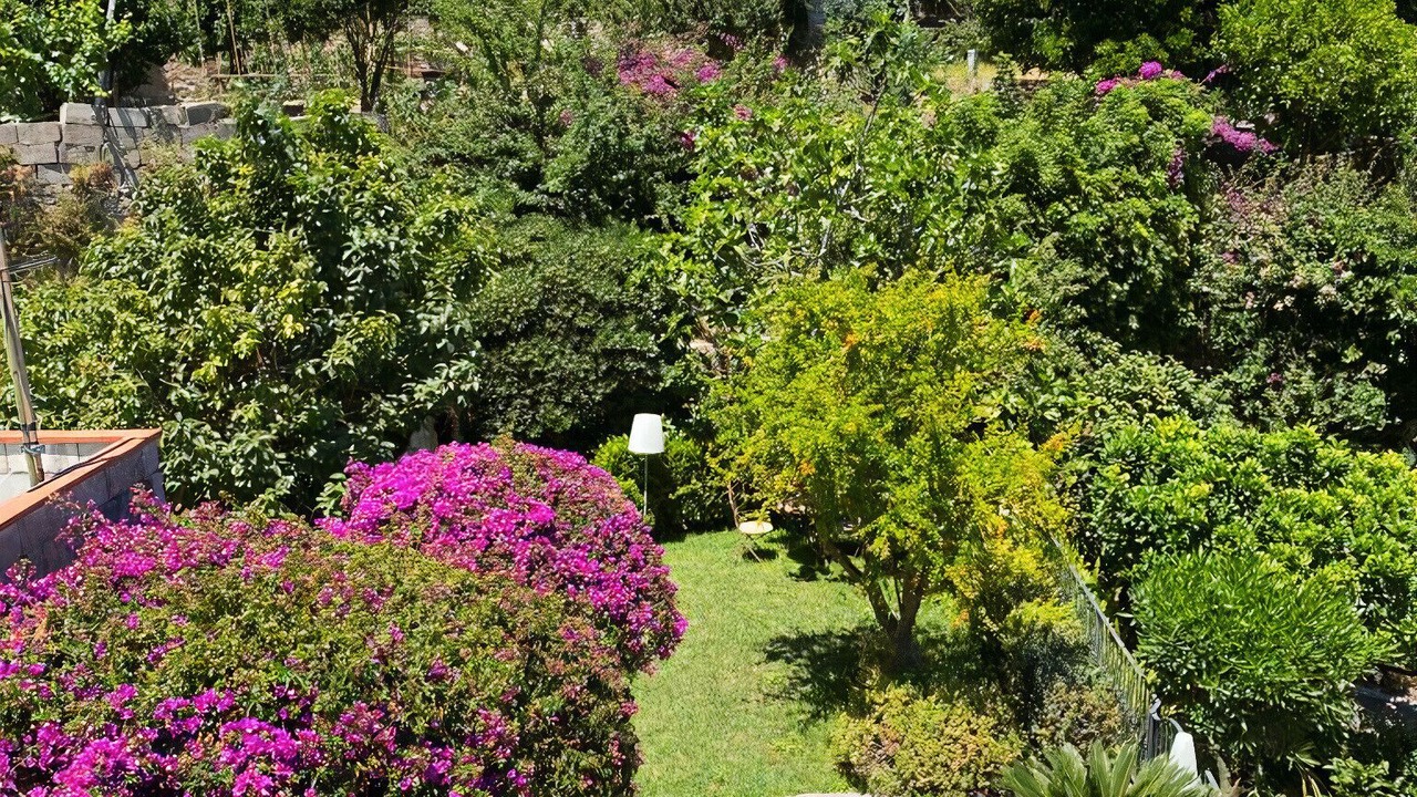 Photo of Outdoor in Ischia Porto