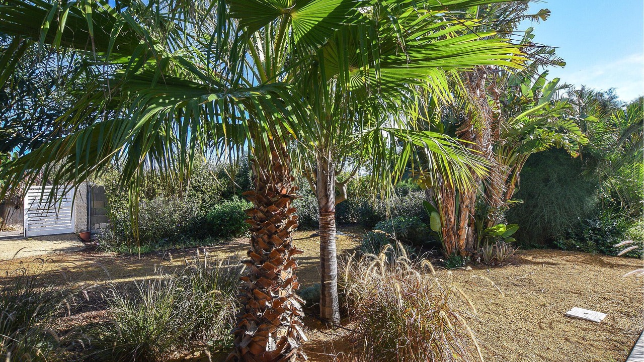 Photo of Others in Punta Braccetto