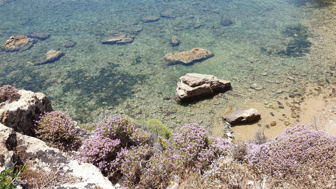 Photo of Outdoor in Anastasi III