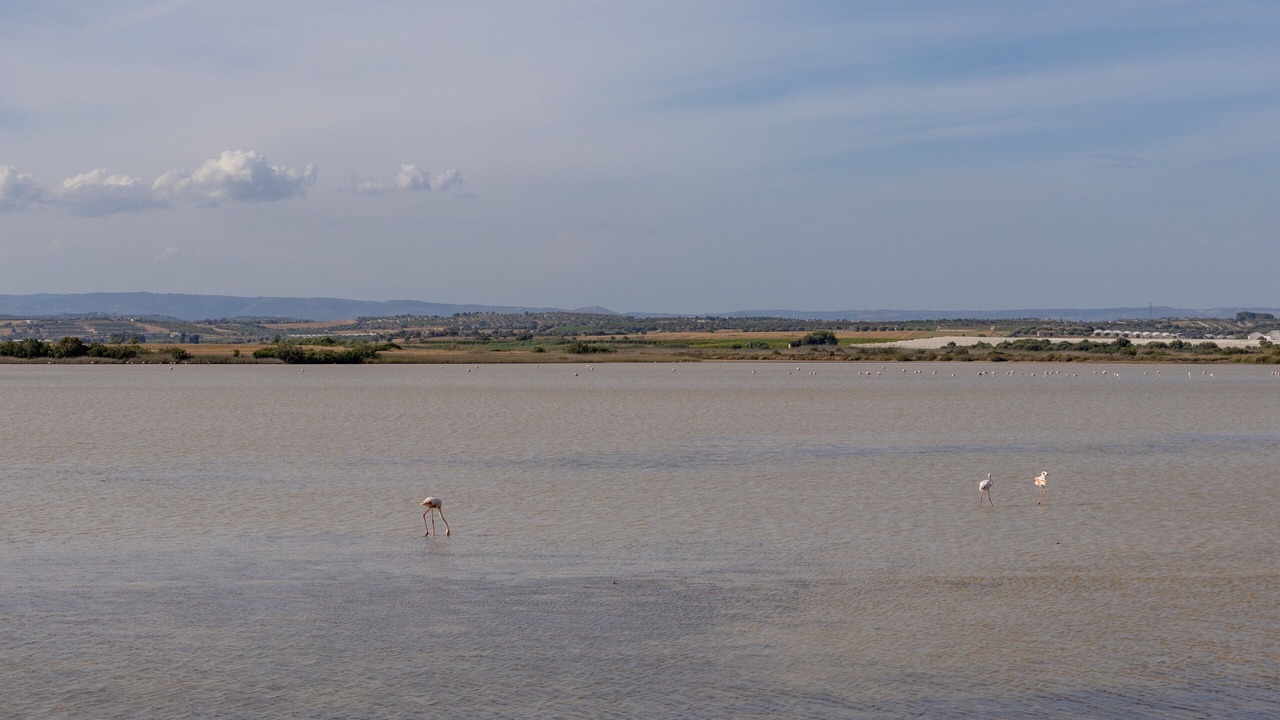 Photo of Others in Granelli