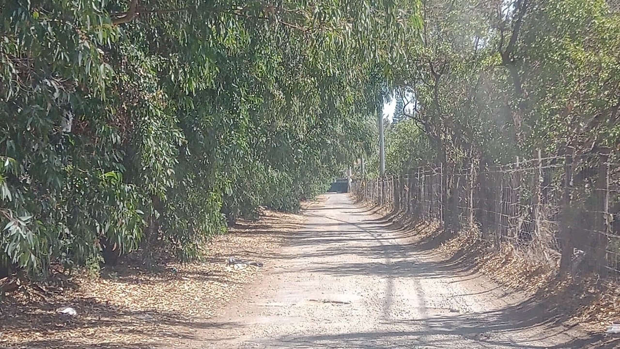 Photo of Others in Vaccarizzo