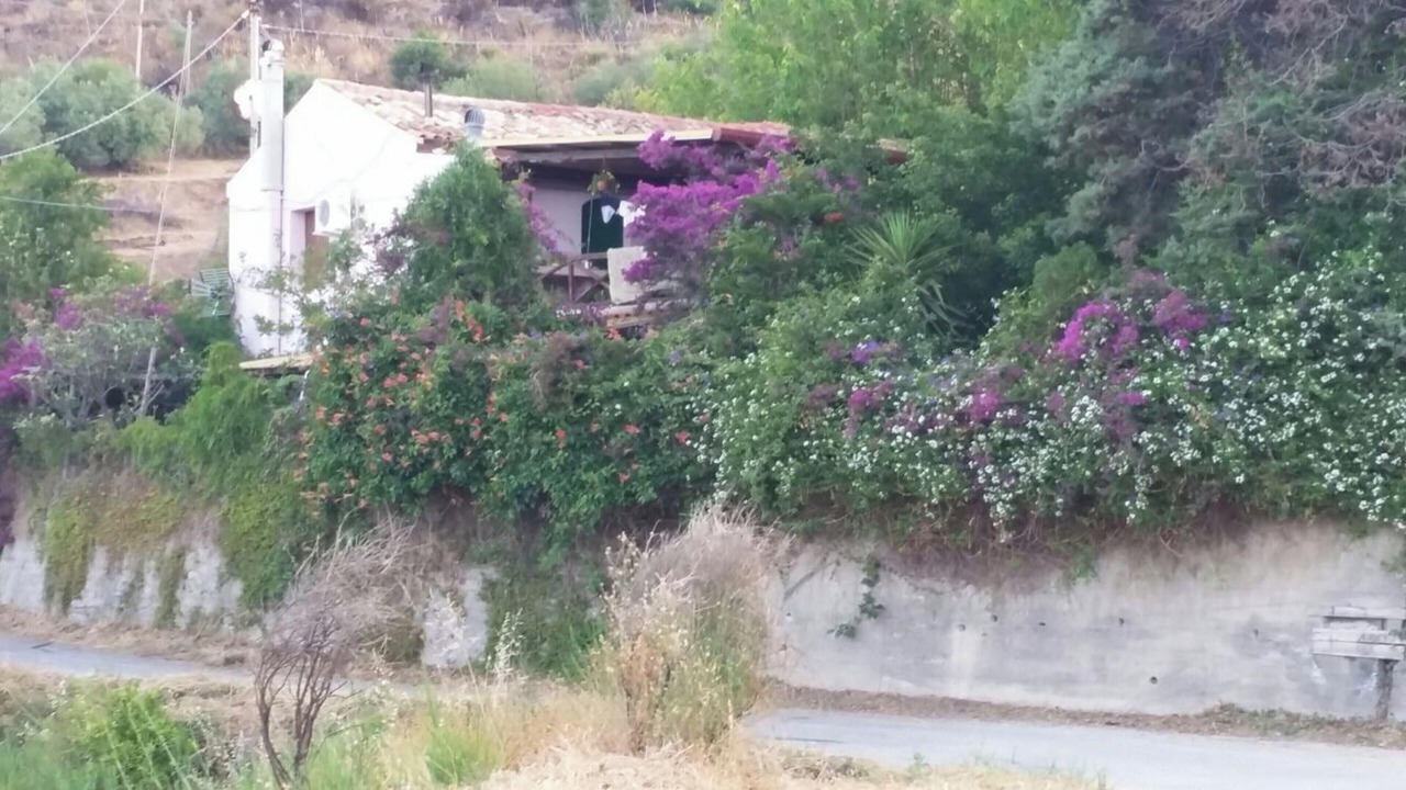 Photo of Others in Castelmola