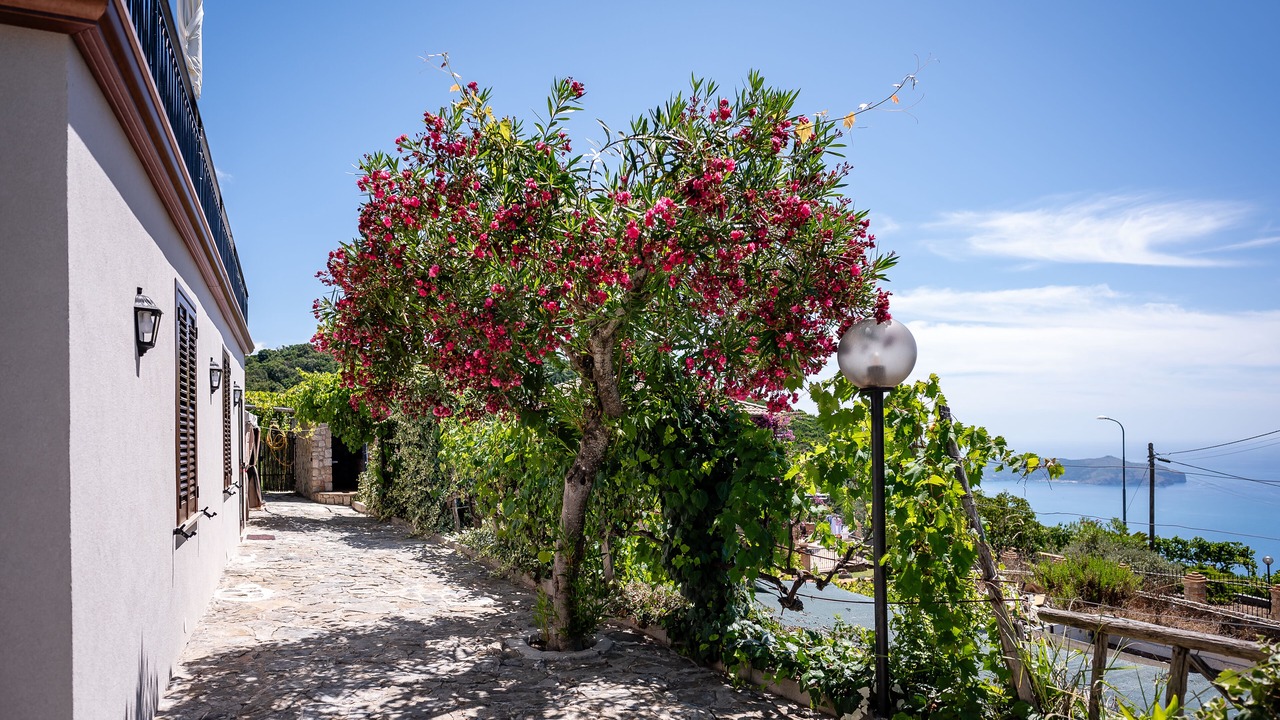 Photo of Outdoor in Marina di Pisciotta