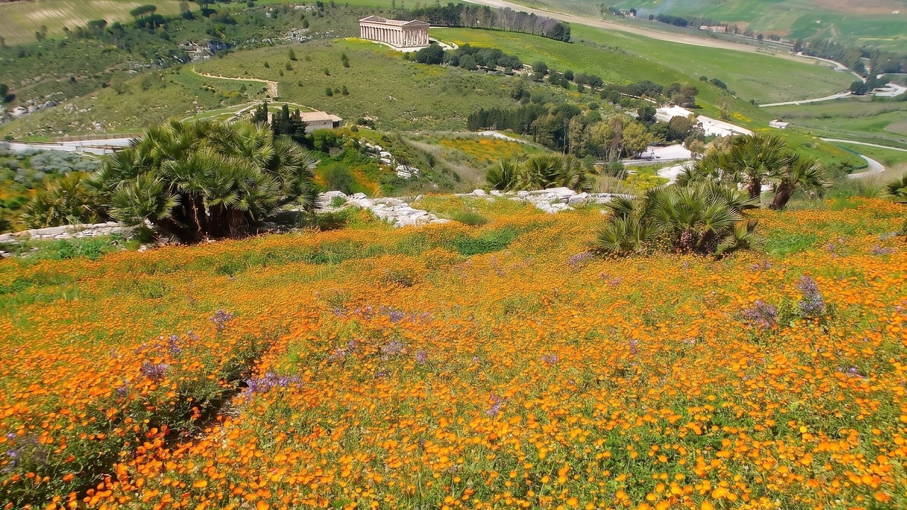 Photo of Outdoor in Bivona