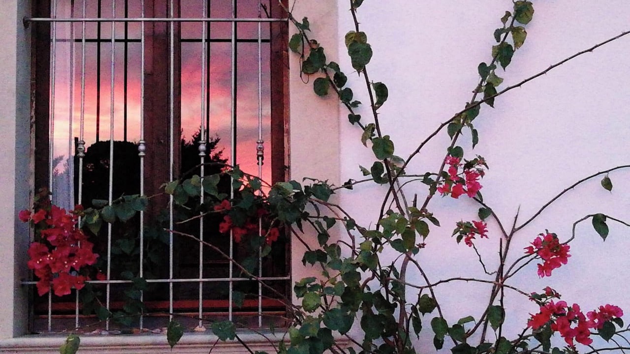 Photo of Outdoor in Vittoria