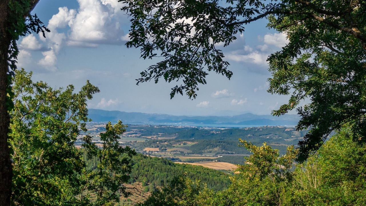 Photo of Others in San Casciano dei Bagni