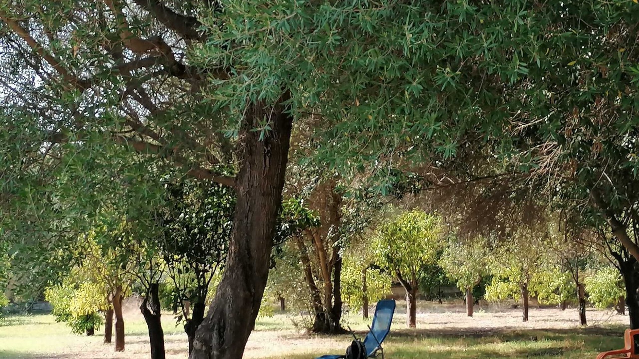 Photo of Others in Ognina