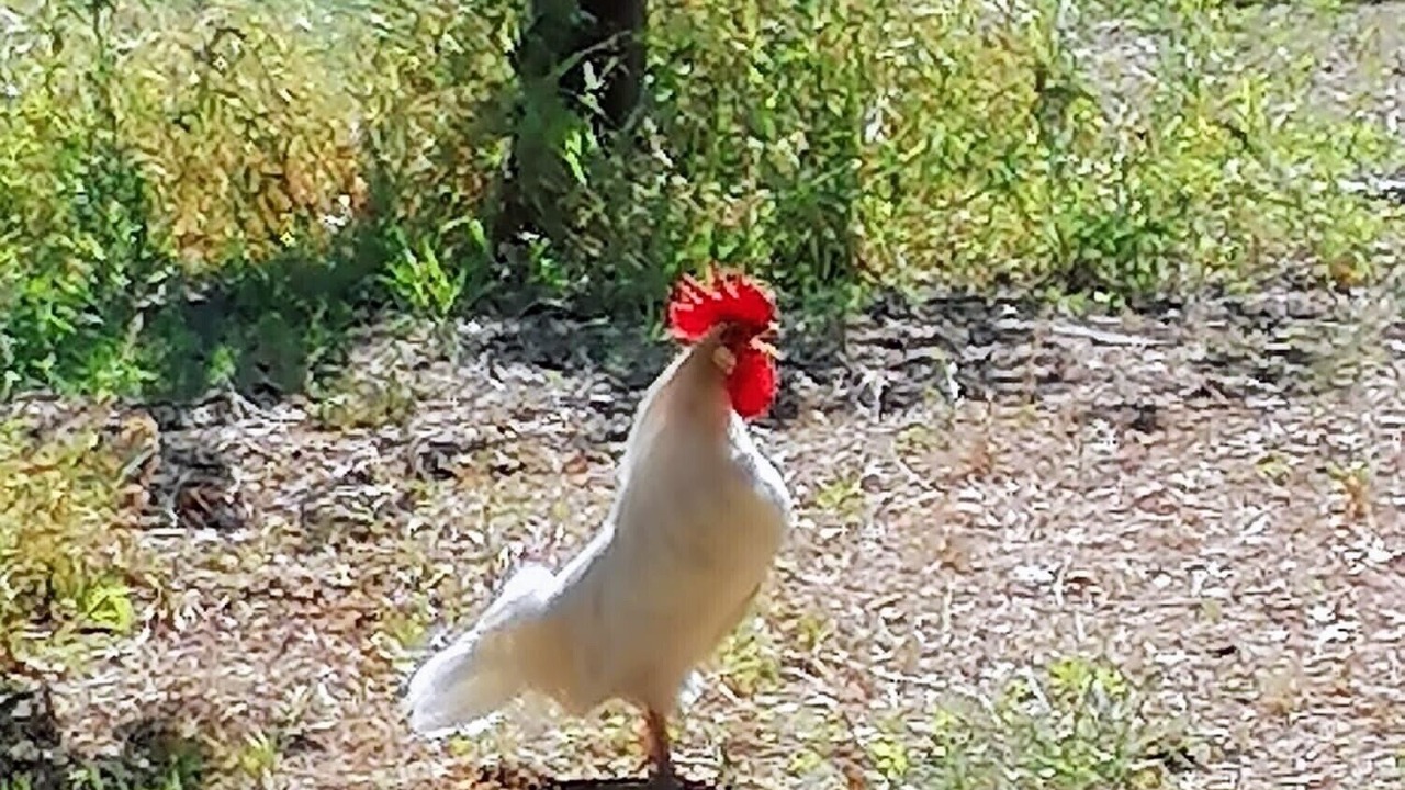 Photo of Others in Ognina
