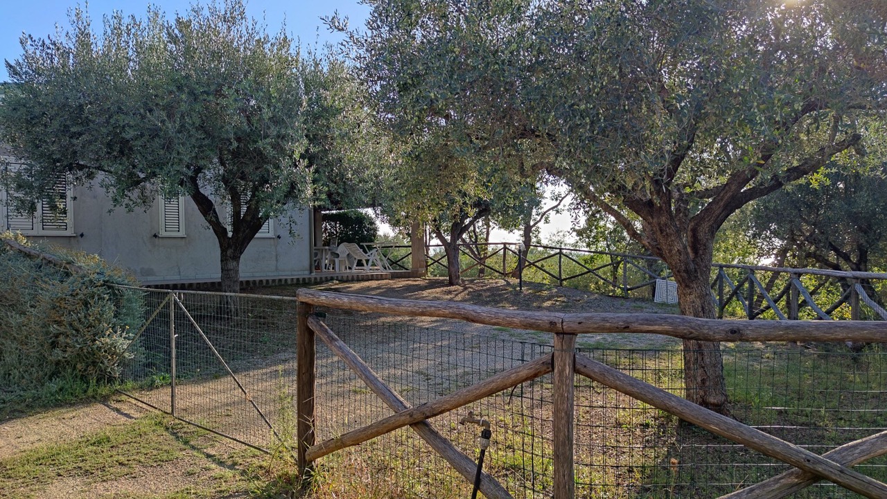 Photo of Outdoor in Santa Maria