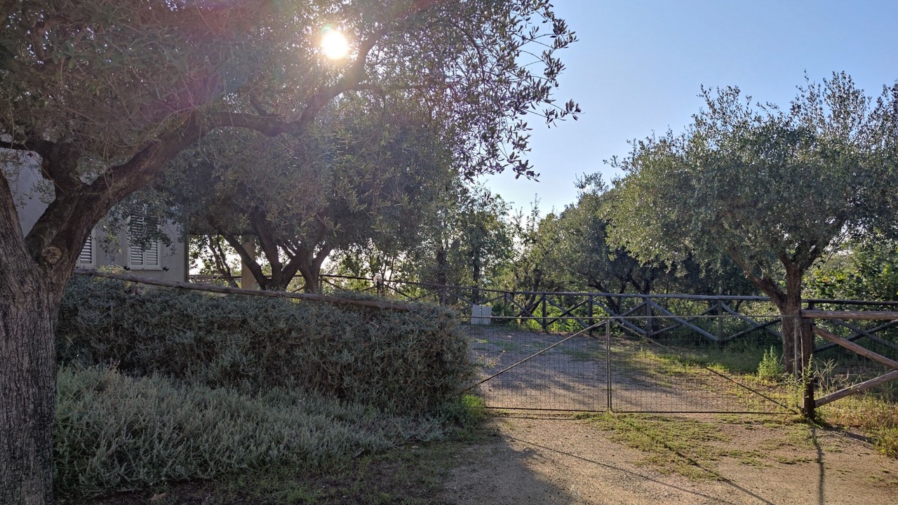 Photo of Outdoor in Santa Maria