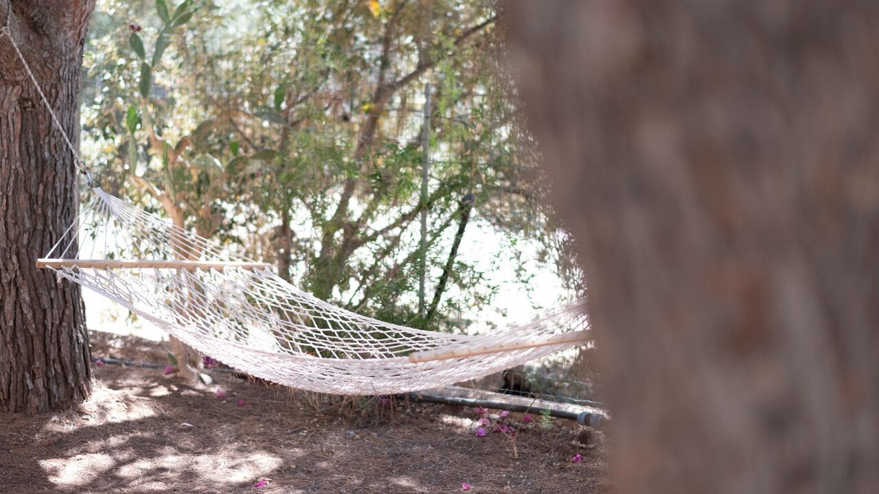 Photo of Outdoor in San Vito Lo Capo