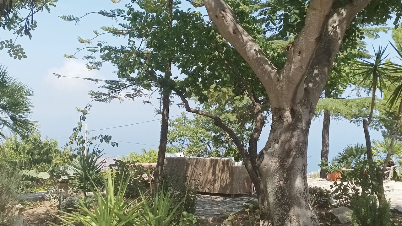 Photo of Outdoor in Caccamo