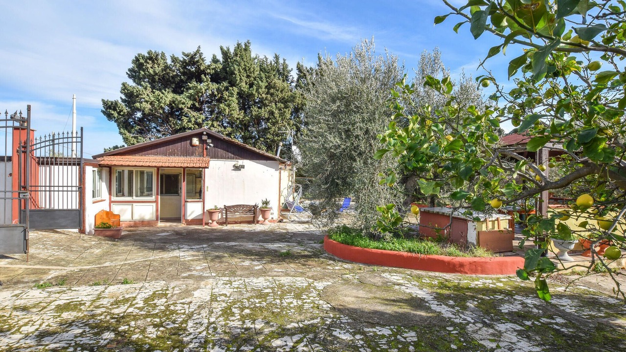 Photo of Others in Altavilla Milicia