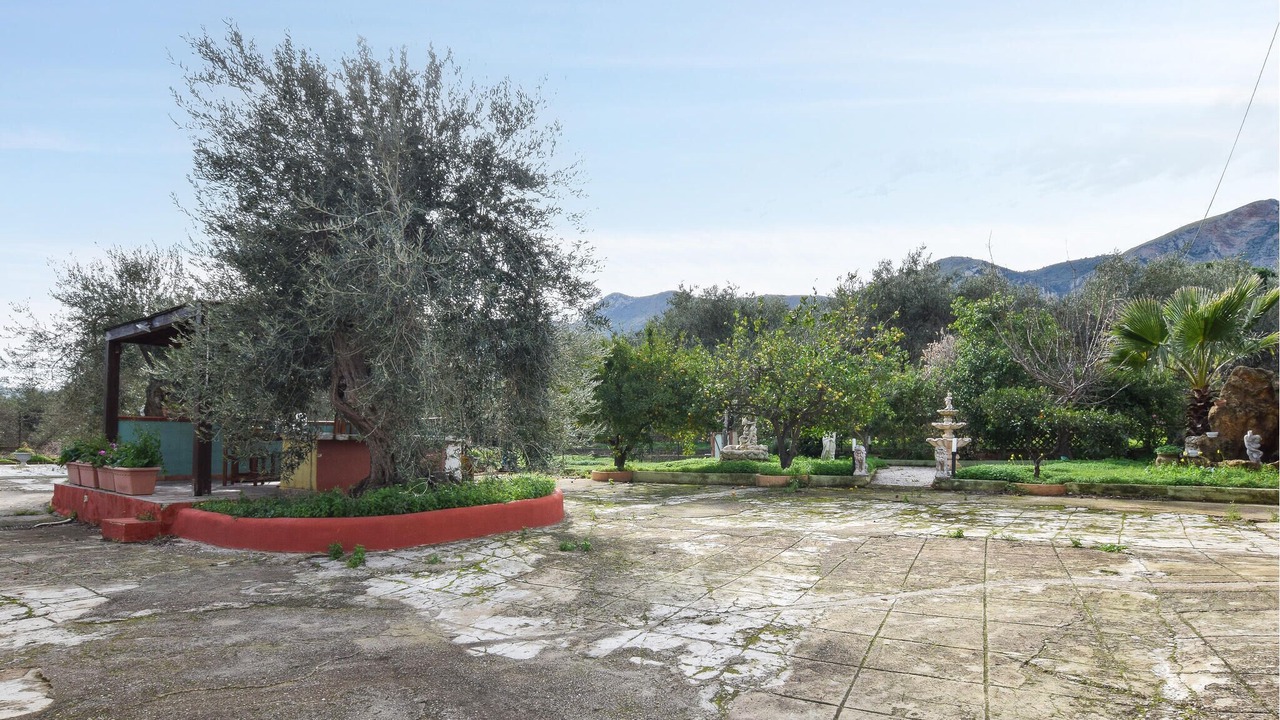 Photo of Others in Altavilla Milicia