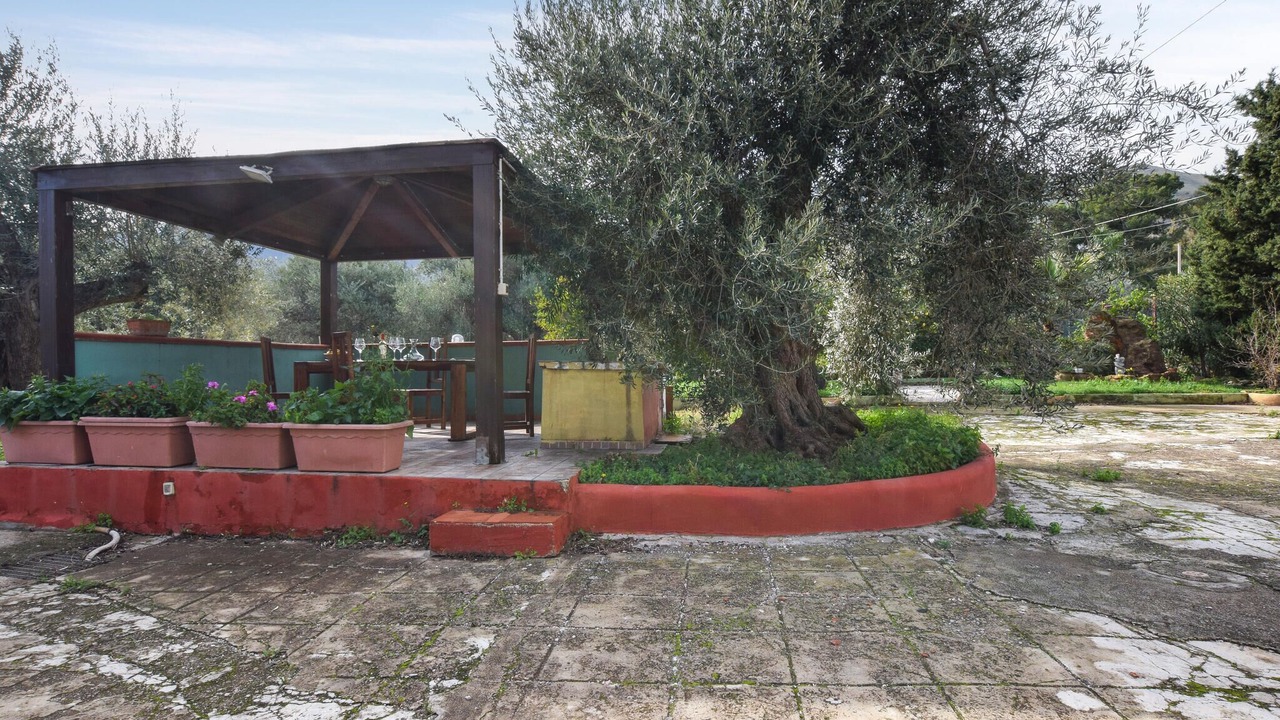 Photo of Others in Altavilla Milicia