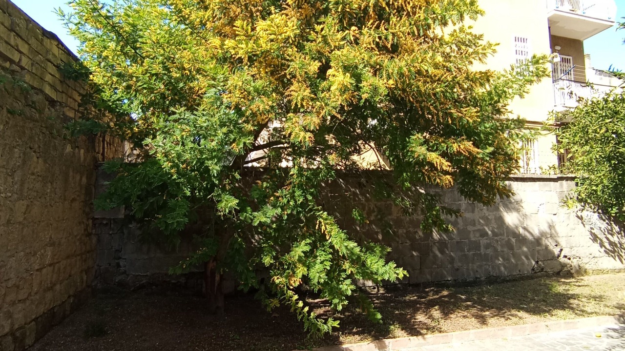 Photo of Outdoor in Secondigliano