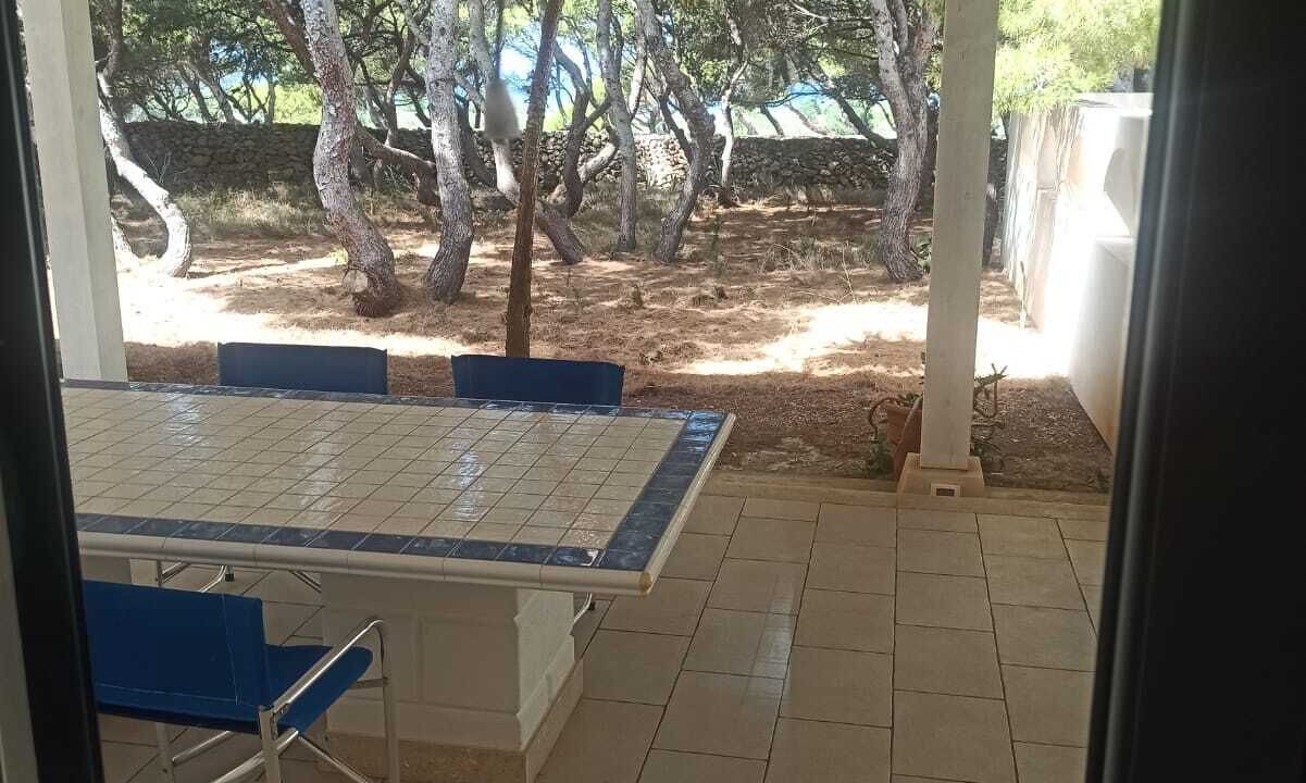 Photo of Others in Favignana