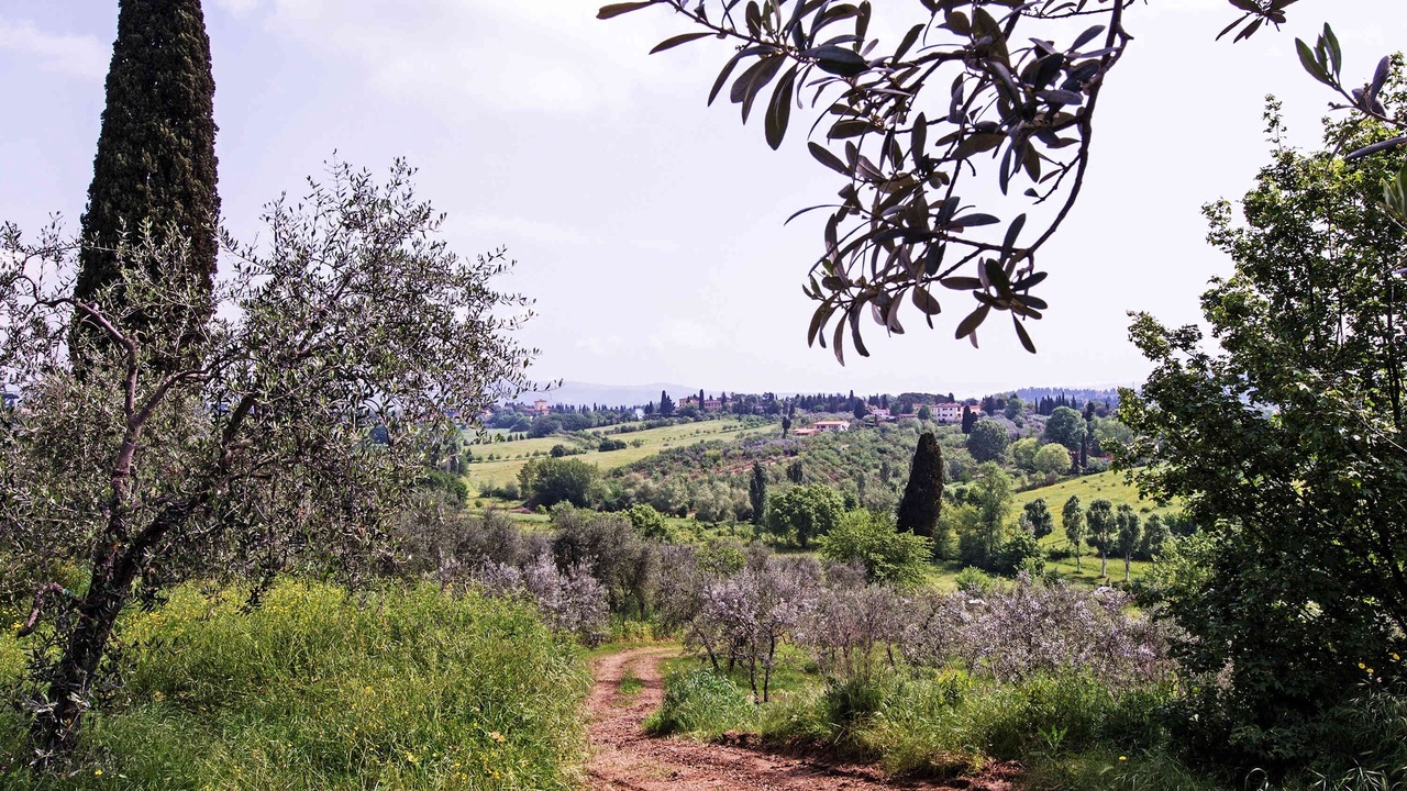 Photo of Others in Arcetri