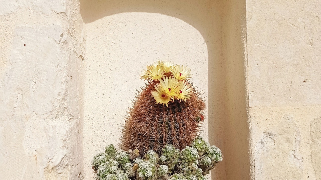 Photo of Outdoor in Centro Storico