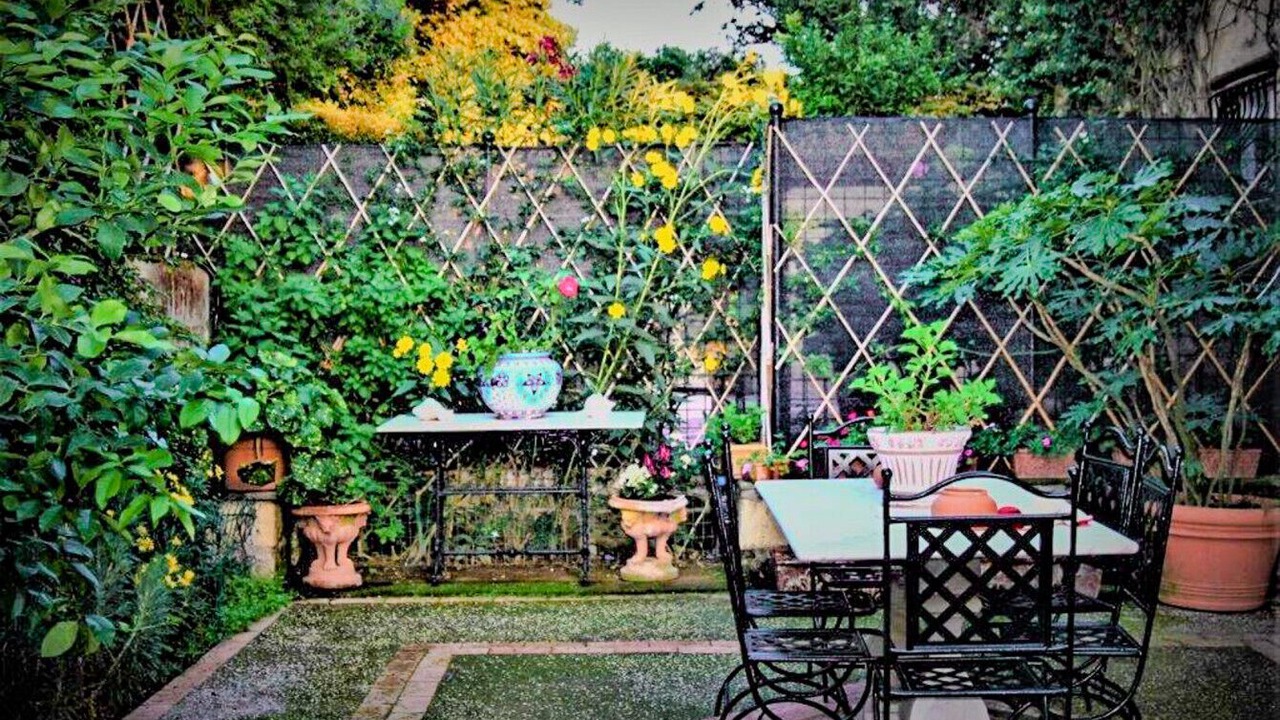 Photo of Outdoor in Licola