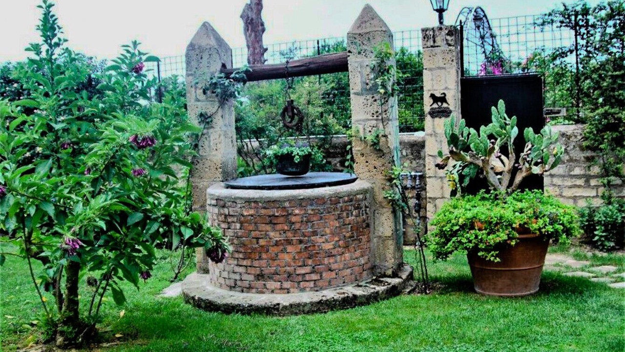 Photo of Outdoor in Licola