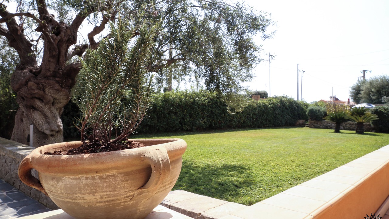 Photo of Outdoor in Avola