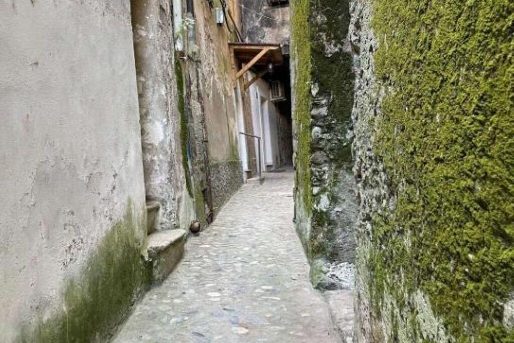 Photo of Others in Cosenza