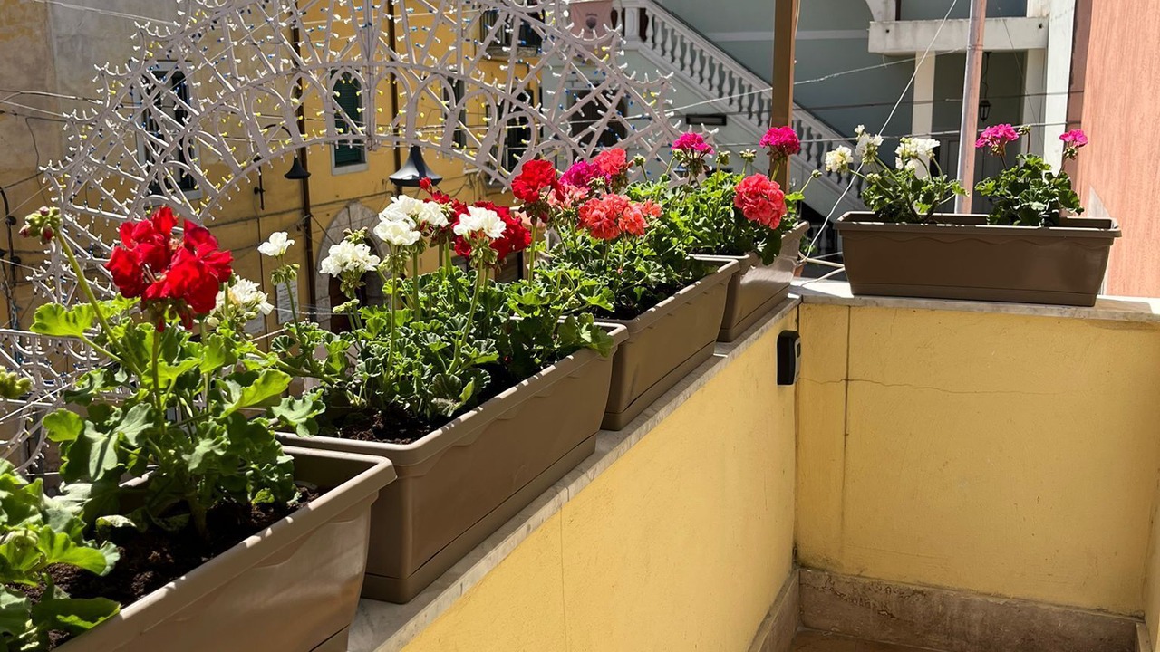 Photo of Outdoor in Nocera Inferiore