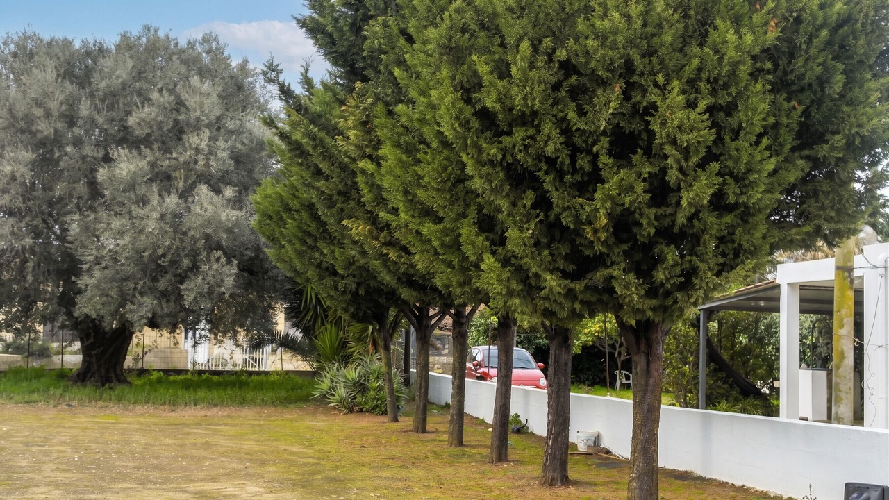 Photo of Others in Vittoria