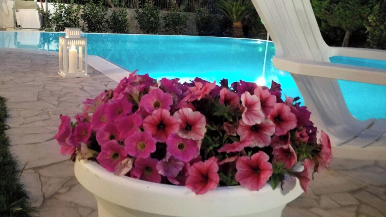 Photo of Outdoor in Ragusa