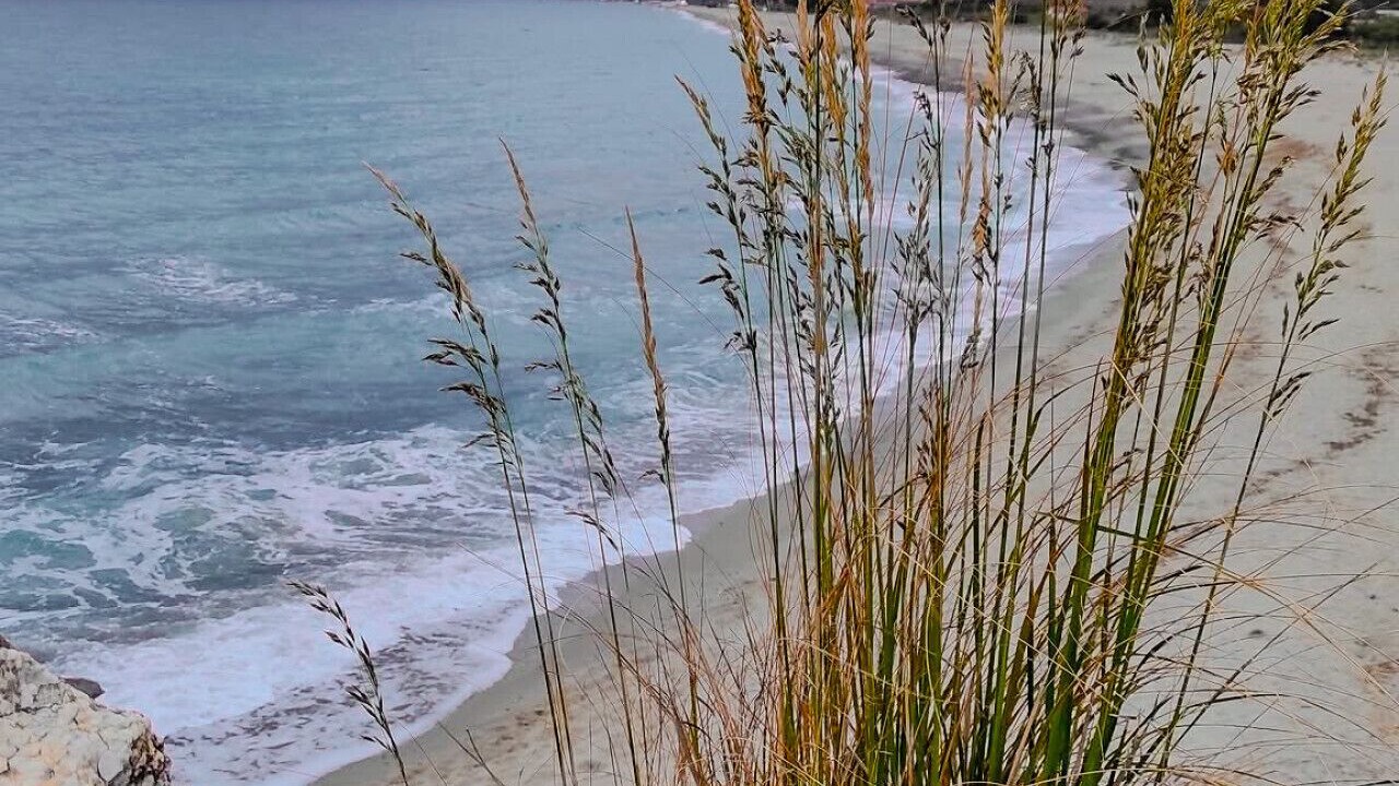 Photo of Others in Marina di Ascea