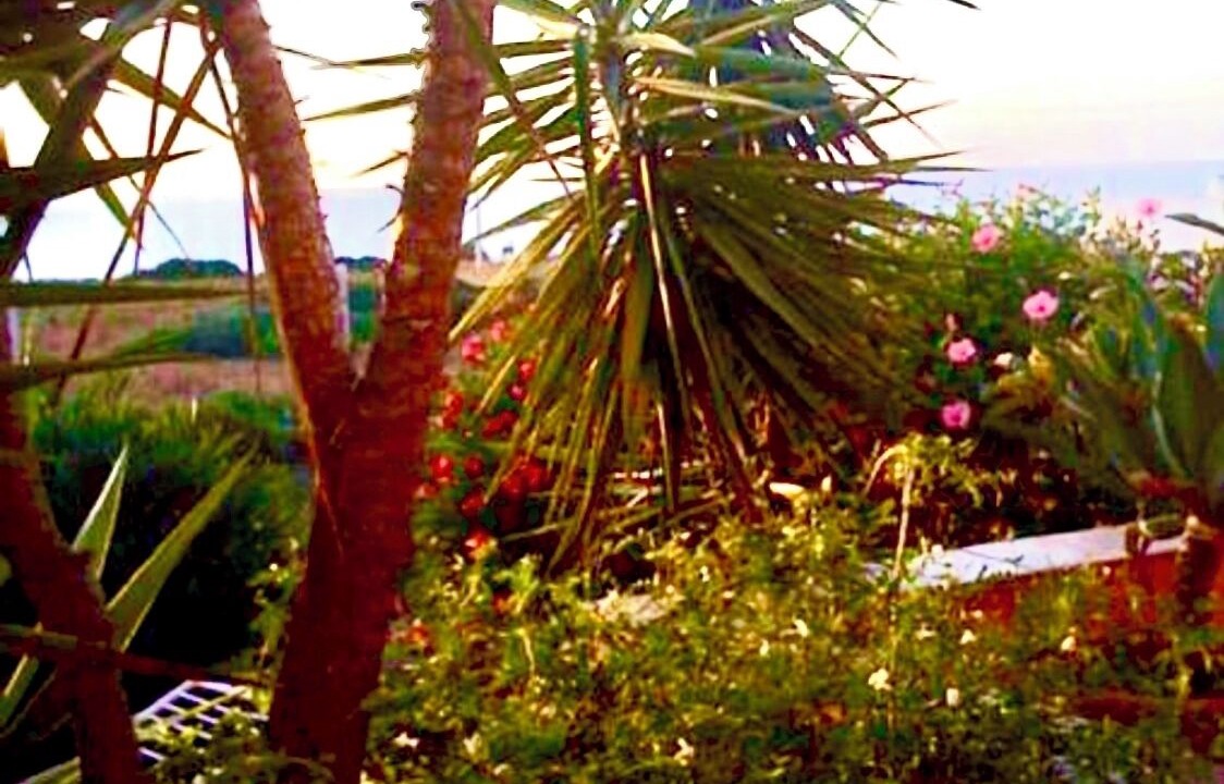 Photo of Outdoor in Terrasini
