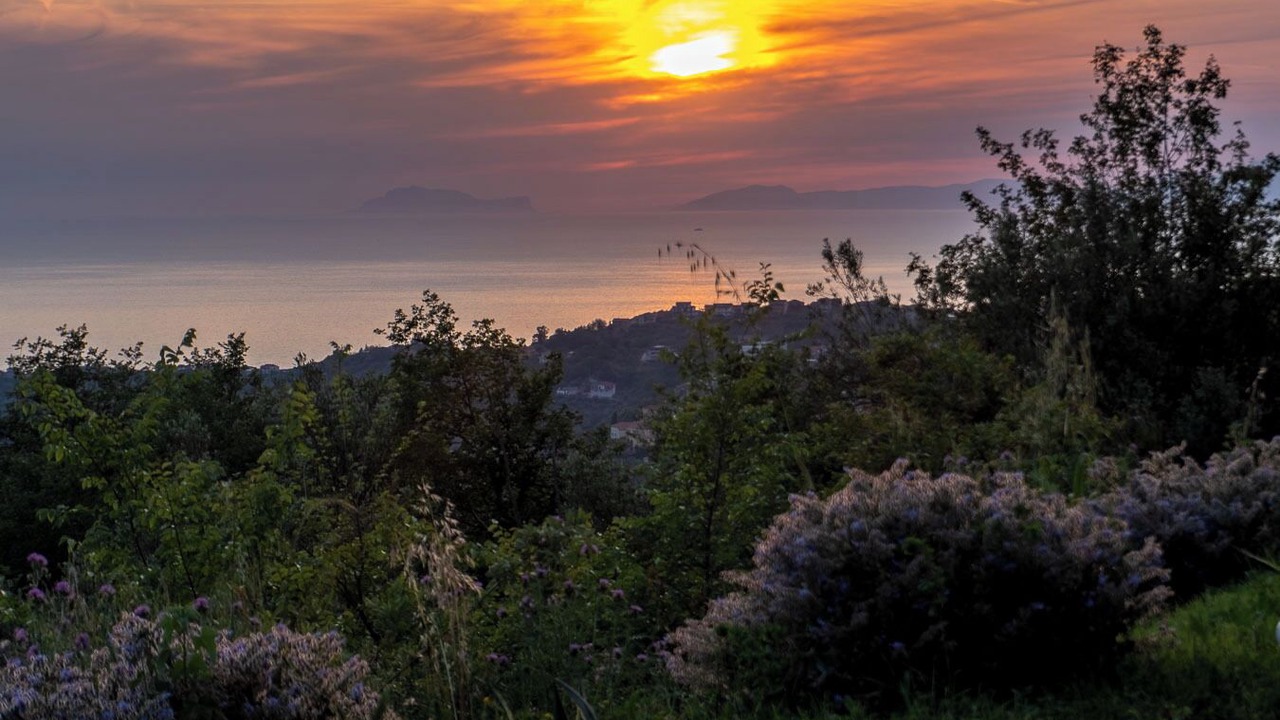 Photo of Others in Prignano Cilento