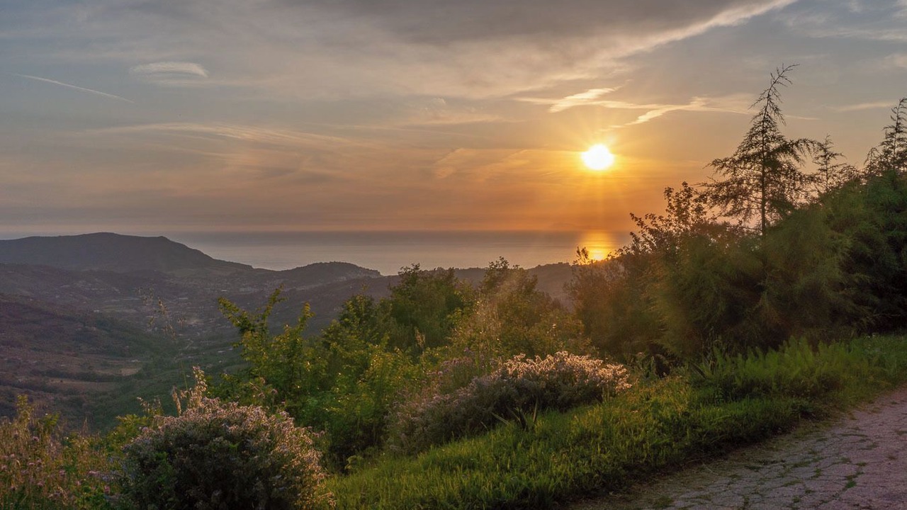 Photo of Others in Prignano Cilento
