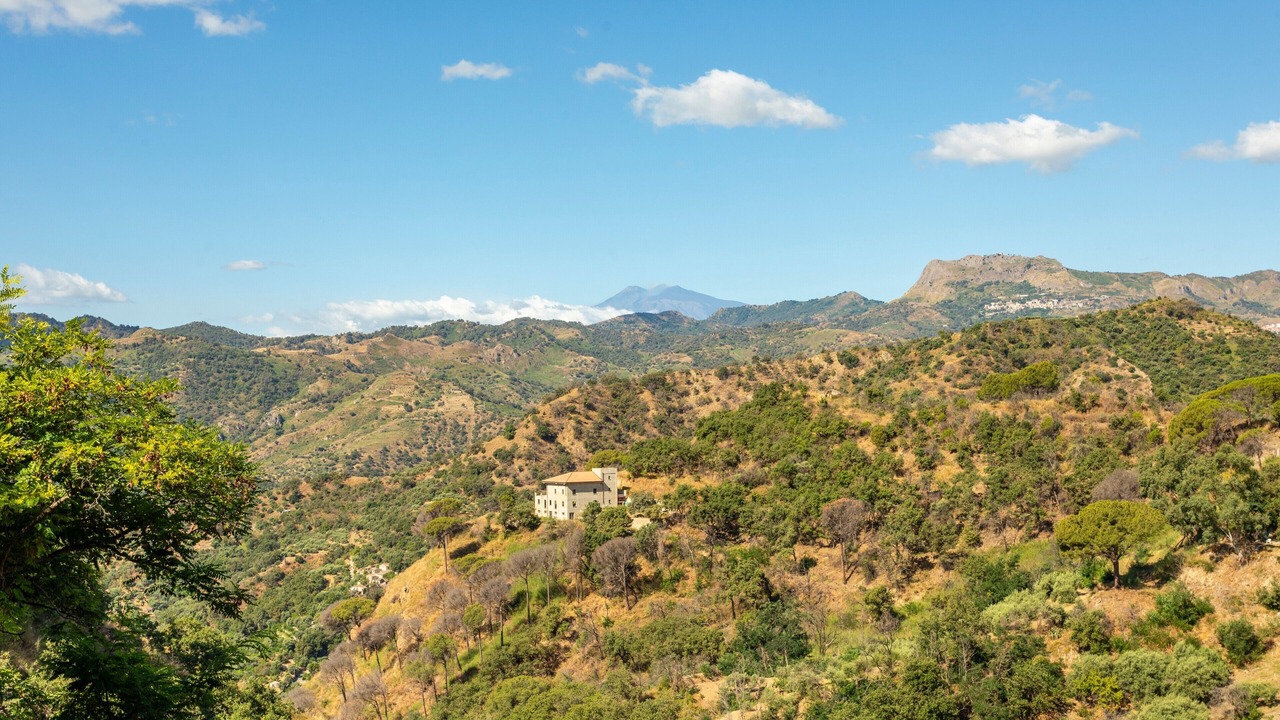 Photo of Others in Savoca