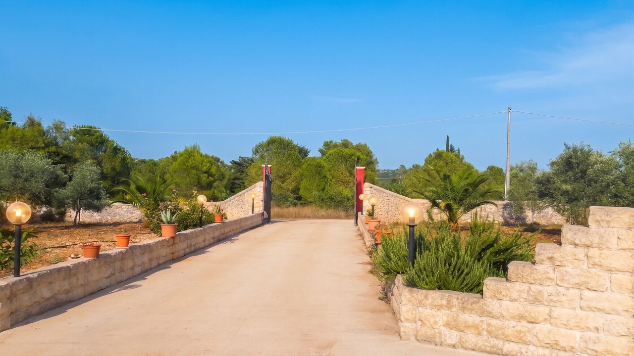 Photo of Others in Noto