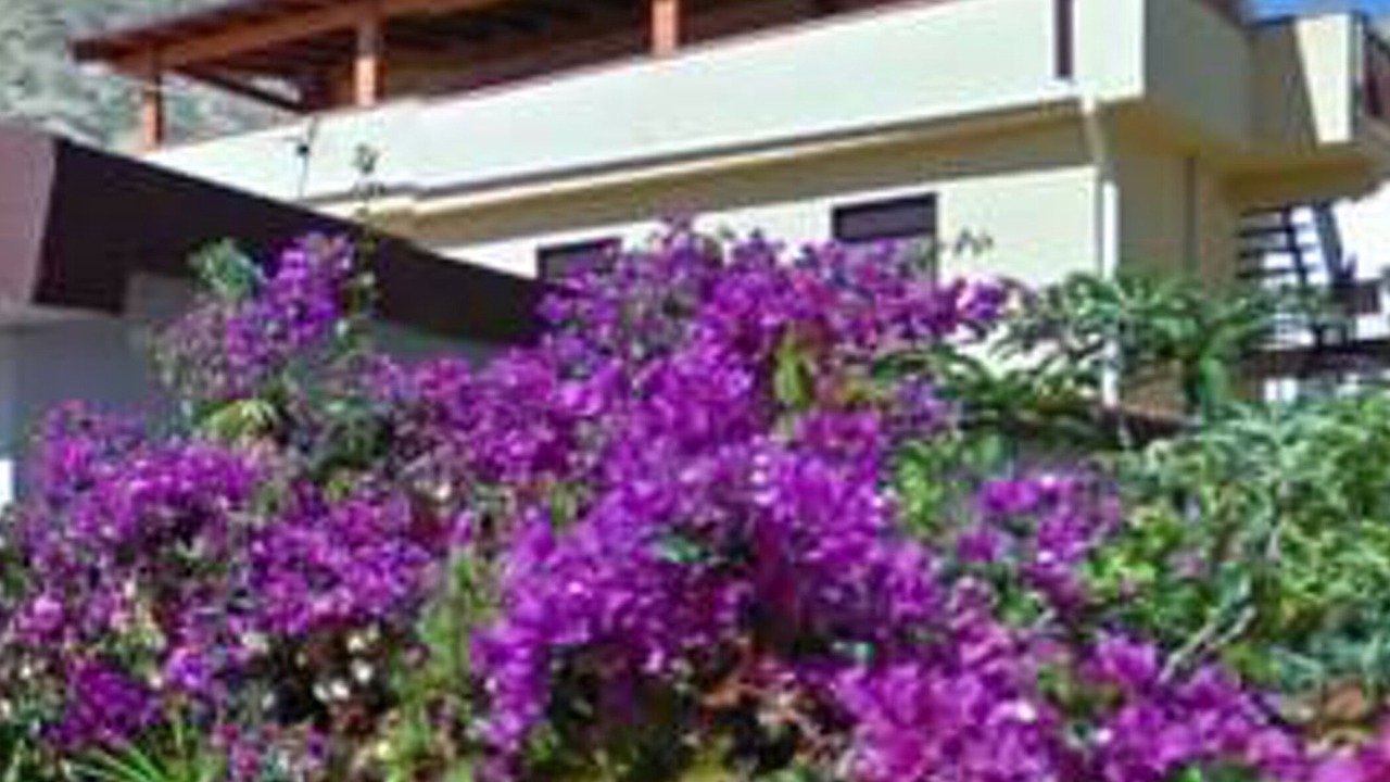 Photo of Others in Lido Rossello