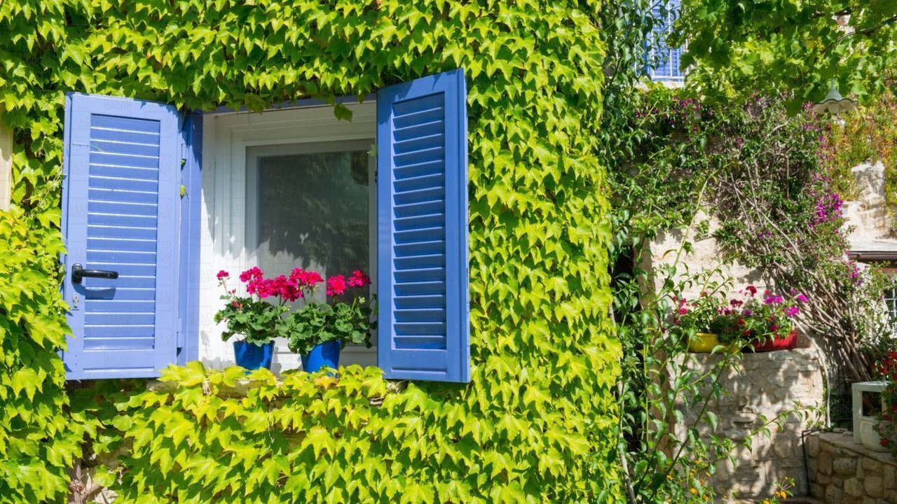 Photo of Outdoor in Bisceglie