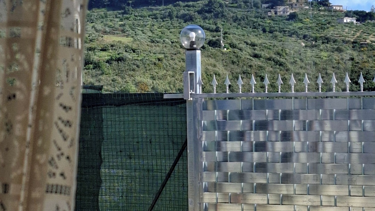 Photo of Others in Sciacca