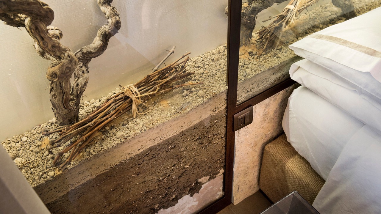 Photo of Bedroom in Ispica
