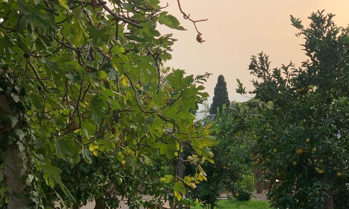 Photo of Outdoor in Valverde
