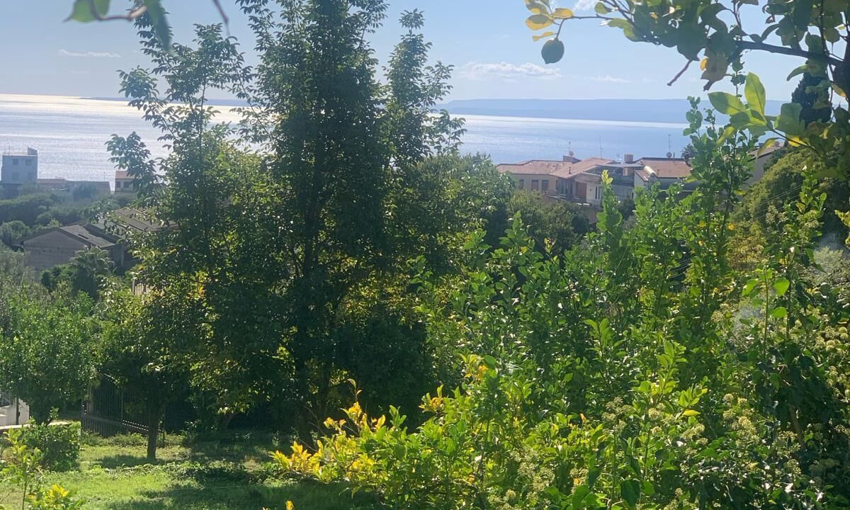 Photo of Outdoor in Valverde