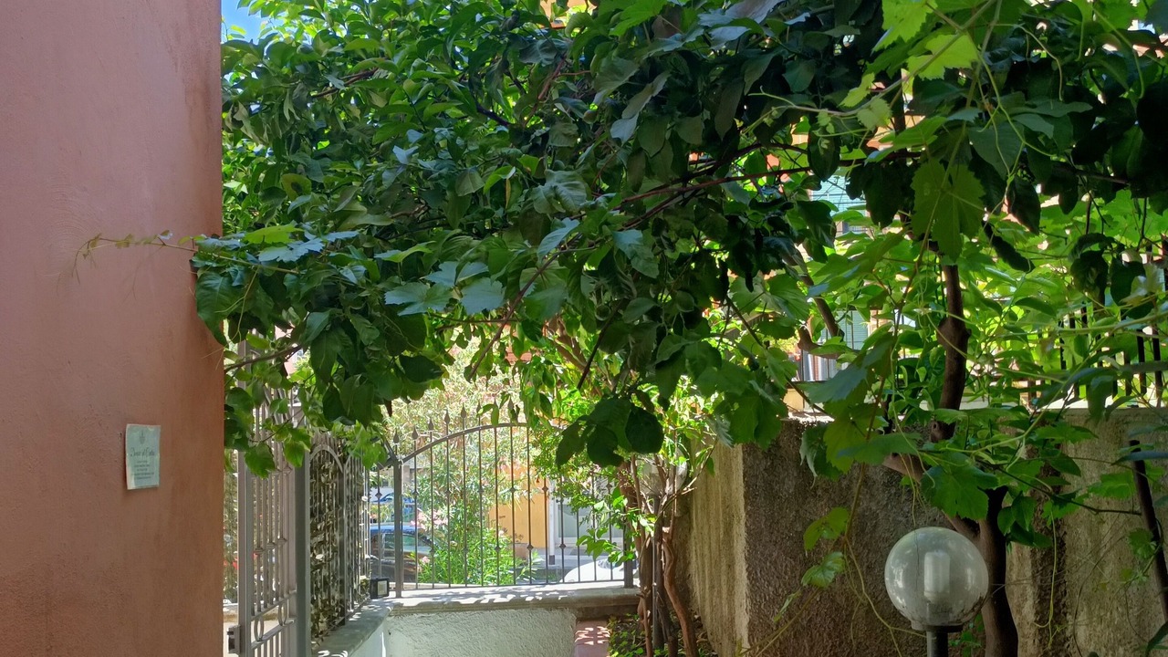 Photo of Outdoor in Cosenza