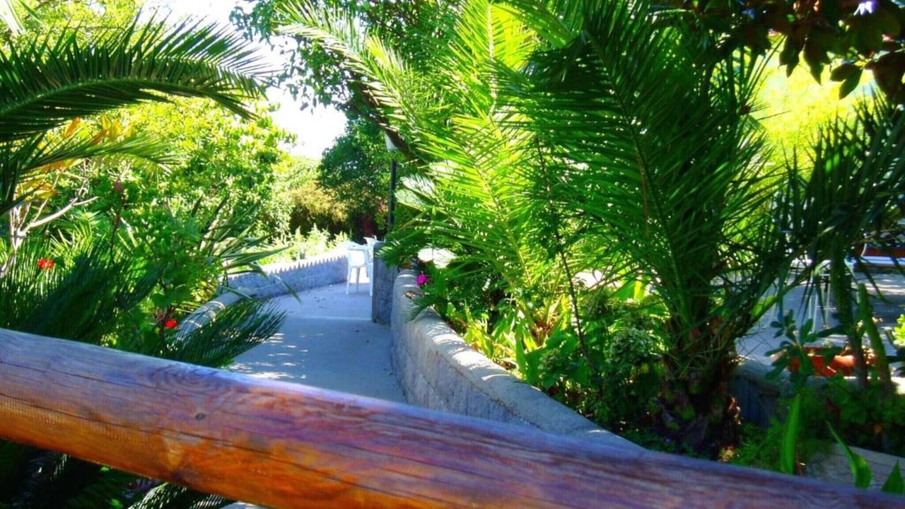 Photo of Outdoor in Ischia Porto
