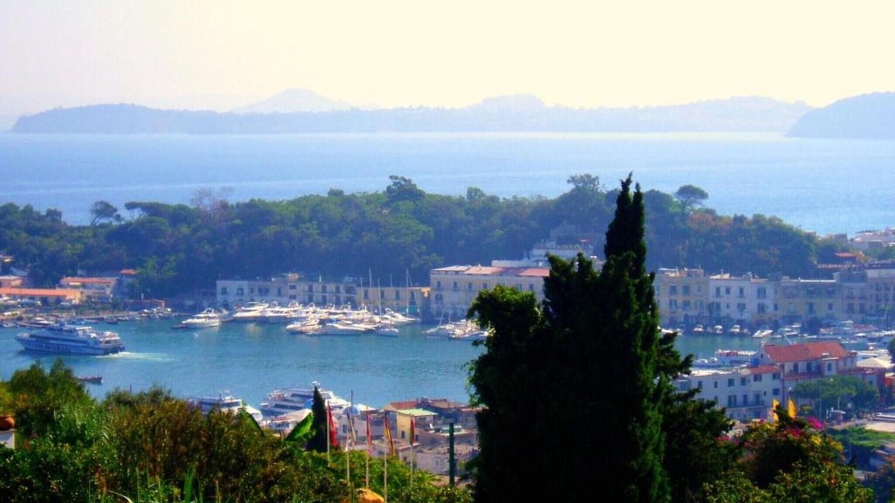 Photo of Others in Ischia Porto